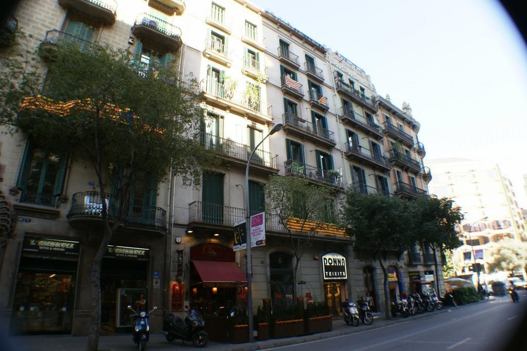 Flateli Lluria * Barcelona